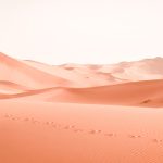 Follow The Footsteps