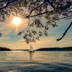 Solus Budgie 3 Review