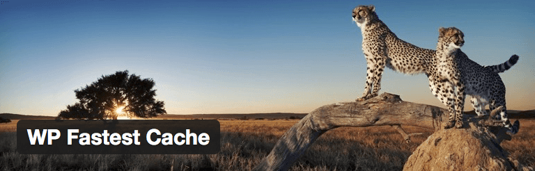 WP Fastest Cache plugin