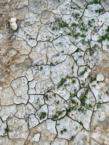 biju-antony-v-mC87YRtQV8g-unsplash