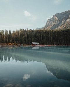 dave-herring-6nnKjJ-fAIc-unsplash