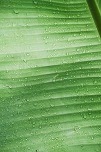 tobi-5ujuwqSDsj0-unsplash